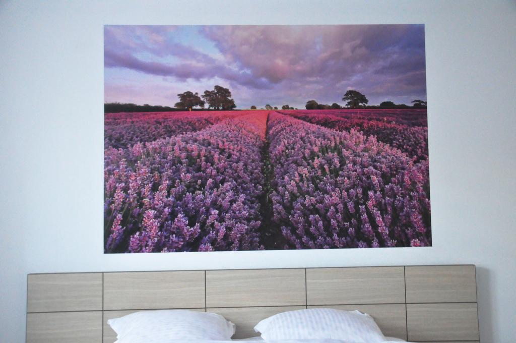 Pensiunea Natura クラヨーヴァ エクステリア 写真